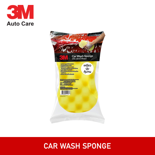 Car Wash Sponge